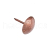 Iron Round Head Nails IFIN-WH0034-47R-1