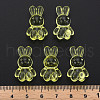 Transparent Acrylic Beads MACR-S373-81-B06-5