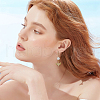 DICOSMETIC 80Pcs 2 Colors 304 Stainless Steel Leverback Earring Findings STAS-DC0015-91-7