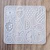 DIY Pendant Silicone Molds X-SIMO-P009-D01-2