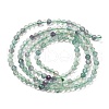Natural Fluorite Beads Strands G-F596-32-3mm-6