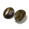 Natural Tiger Iron Cabochons G-C115-01A-28-2