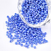 Opaque Glass Seed Beads SEED-S023-01C-06-1
