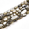 Natural White Shell Beads Strands SHEL-N036-21-2