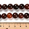 Dyed Natural Agate Beads Strands G-G203-10A-10mm-5