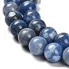Dyed Natural Agate Beads Strands G-G203-10M-12mm-4