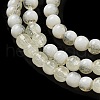 Crackle Glass Beads Strands GLAA-U001-4mm-11-3
