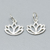 925 Sterling Silver Charms STER-T002-277S-1