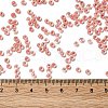 8/0 Transparent Glass Seed Beads SEED-F003-03B-05-4