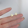 Alloy Earrings for Women FS-WG98937-103-1
