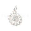 S925 Sterling Silver Charm STER-H115-11C-S-1