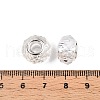 Transparent Glass European Beads GPDL-N004-D14mm-B01-3