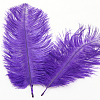 Ostrich Feather Ornament Accessories FEAT-PW0001-002M-1