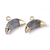 Electroplate Natural Labradorite Charms G-S344-48B-2