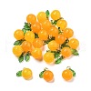 Dyed Natural Agate Orange Charms G-U025-07G-1