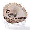 Printed Natural Agate Slice Stone Ornament DJEW-M011-03H-2