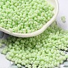 Glass Frosted Seed Beads SEED-K009-05B-06-1