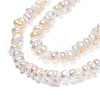 Natural Cultured Freshwater Pearl Beads Strands PEAR-N015-04B-4