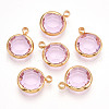 K9 Glass Charms X1-GLAA-T023-37A-03-1