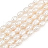 Natural Cultured Freshwater Pearl Beads Strands PEAR-P064-20H-03A-2