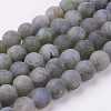 Natural Labradorite Beads Strands G-J376-50F-8mm-1