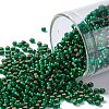 TOHO Round Seed Beads SEED-XTR11-0036F-1