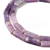 Natural Lepidolite/Purple Mica Stone Beads Strands G-E612-C05-B-4