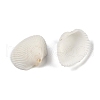 Natural Shell Beads SHEL-K009-16-2