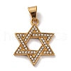 304 Stainless Steel Rhinestone Pendants STAS-U021-02G-1