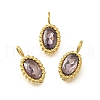 304 Stainless Steel Micro Pave Cubic Zirconia Charms STAS-U027-02G-06-1
