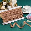 Polyester Braided Lace Ribbons OCOR-WH0092-17B-5
