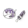 5 Styles Natural Amethyst Pendants G-FS0002-47-2