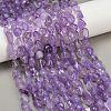 Natural Amethyst Beads Strands G-Q060-E16-1