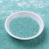 MIYUKI Round Rocailles Beads SEED-X0054-RR0536-2