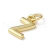 Rack Plating Brass Pendants KK-P245-06G-Z-2
