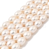 Natural Cultured Freshwater Pearl Beads Strands PEAR-I007-01F-05A-2
