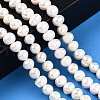 Natural Cultured Freshwater Pearl Beads Strands PEAR-N013-06K-2