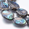 Natural Abalone Shell/Paua Shell Beads Strands SSHEL-P014-04-2