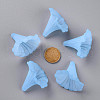 Transparent Acrylic Beads BSF796-C27-5