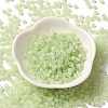 Transparent Colours Glass Seed Beads SEED-P007-01A-02-2