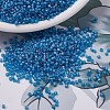 MIYUKI Delica Beads SEED-X0054-DB0862-1