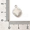 304 Stainless Steel Charms STAS-H165-22P-3