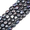 Natural Cultured Freshwater Pearl Beads Strands PEAR-P064-20K-03D-2