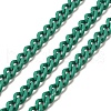Spray Painted 304 Stainless Steel Curb Chains STAS-B067-05B-10-1