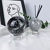 Natural Shell Fossil Crystal Ball PW-WG4EAD1-01-4