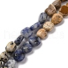 Natural Dalmatian Jasper & Blue Spot Jasper & Green Spot Jasper & Snowflake Obsidian & Picture Jasper Beads Strands G-L610-B11-01-1