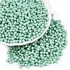 Glass Seed Beads SEED-T007-01M-3