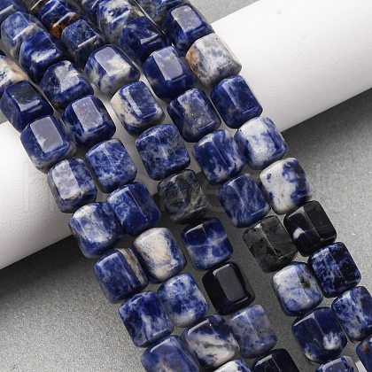 Natural Sodalite Beads Strands G-R015-A03-1