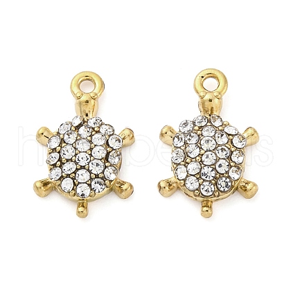 304 Stainless Steel Charms STAS-V003-05G-04-1