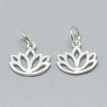 925 Sterling Silver Charms STER-T002-277S-1